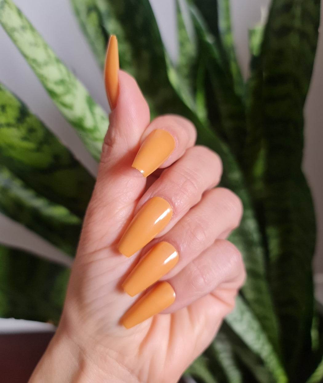 Orange Press on Nails