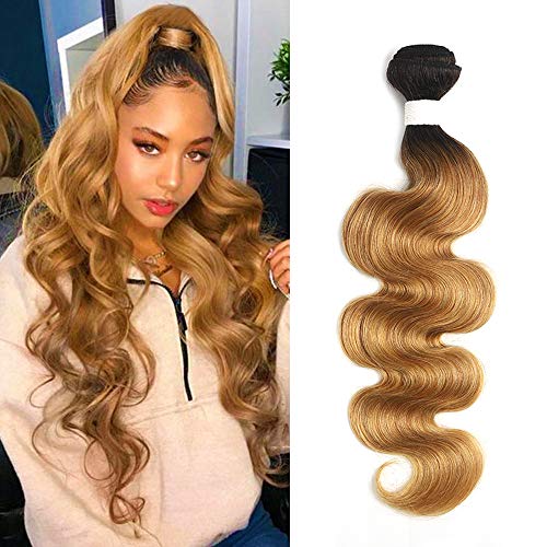Lauban Body Wave- Color T1B/27 Lauban Body Wave- Color T1B/27