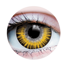 Load image into Gallery viewer, Primal Eye Contact Temptress Chestnut