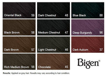 Load image into Gallery viewer, Bigen Hair color