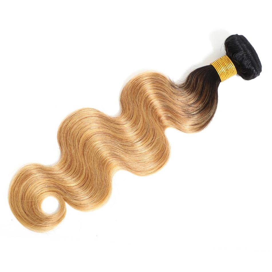 Lauban Body Wave- Color T1B/27 Lauban Body Wave- Color T1B/27