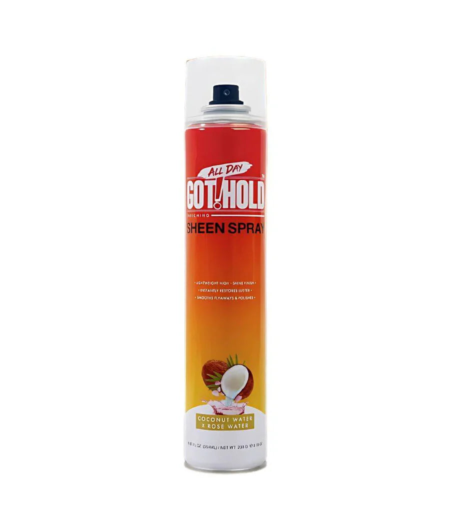 All day Got Hold Sheen Spray