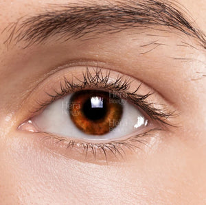 Liz  Pure Hazel Contact Lenses