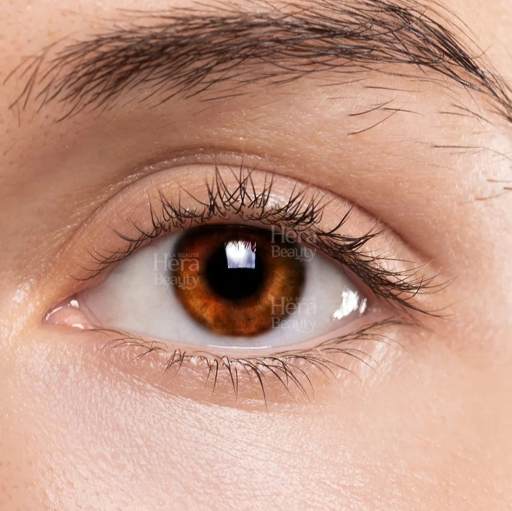 Liz  Pure Hazel Contact Lenses